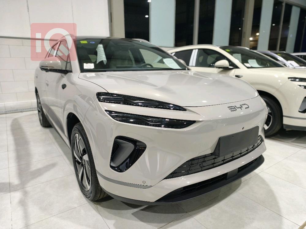 بي واي دي سيليون 06 DM-i